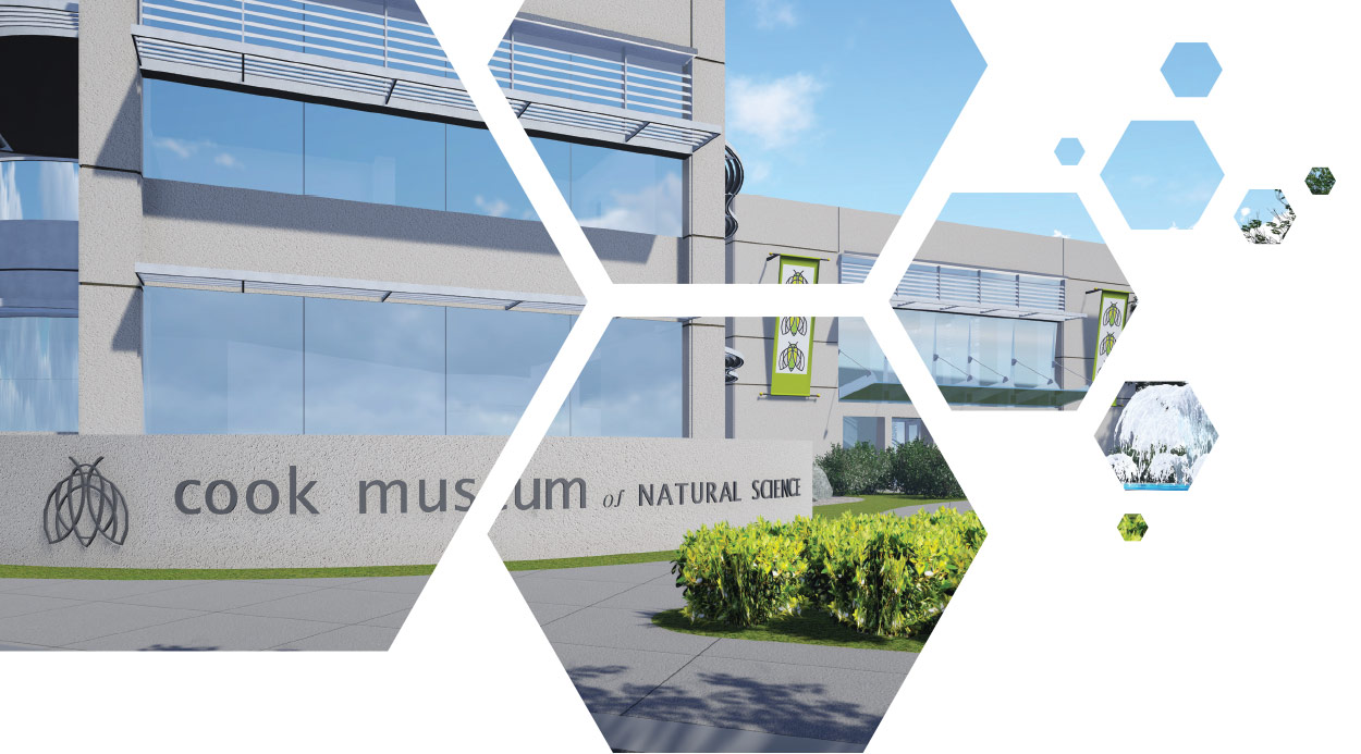 Cook Museum of Natural Science