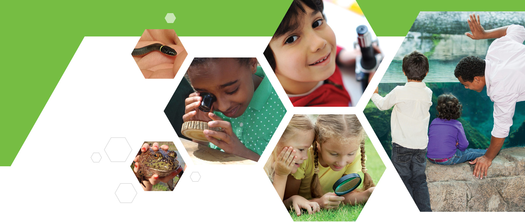 Cook Museum of Natural Science Benefits