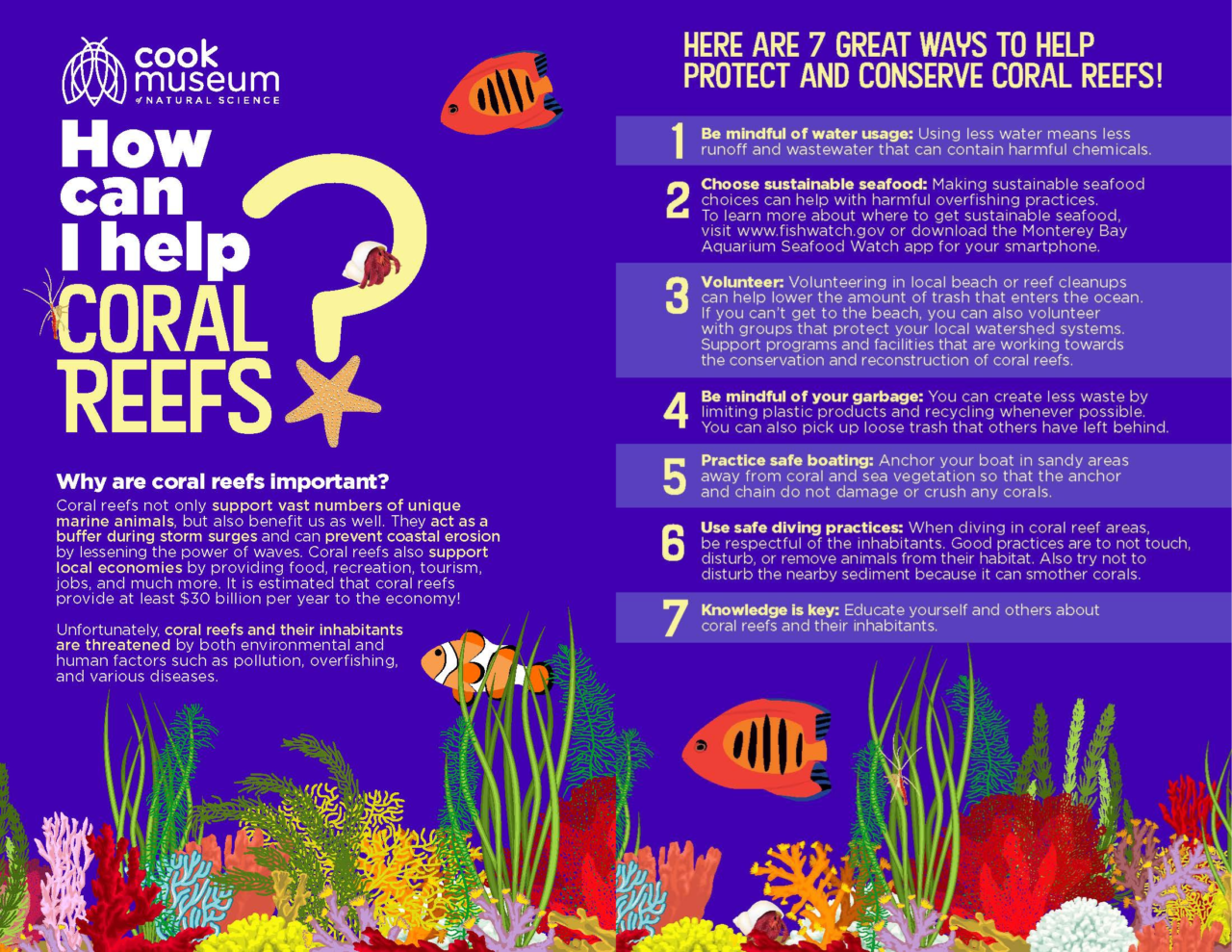 How You Can Help Coral Reefs Cook Museum of Natural Science