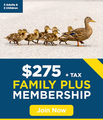 Family Plus Membership