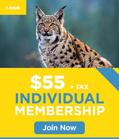 Individual Membership